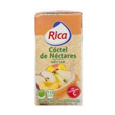 JUGO DE COCTEL DE NÃ©CTARES RICA 200ML