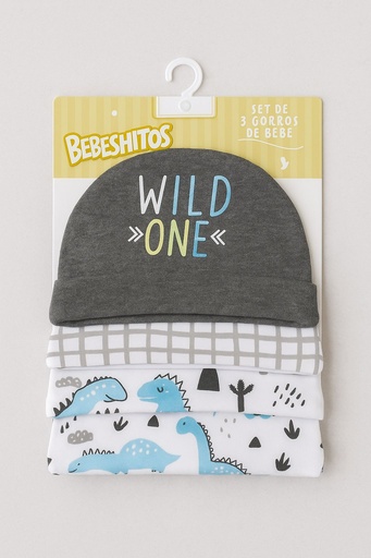 [AR10068] SET DE GORRO 3/1