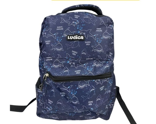 [NM4398-1] MOCHILA LUDICA SPORT GAME 16 PUL.